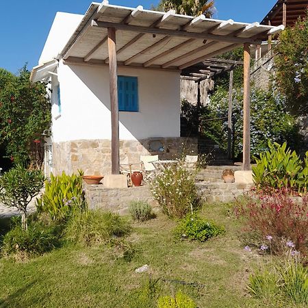 Lemon Tree Cottage Finikounta Bagian luar foto
