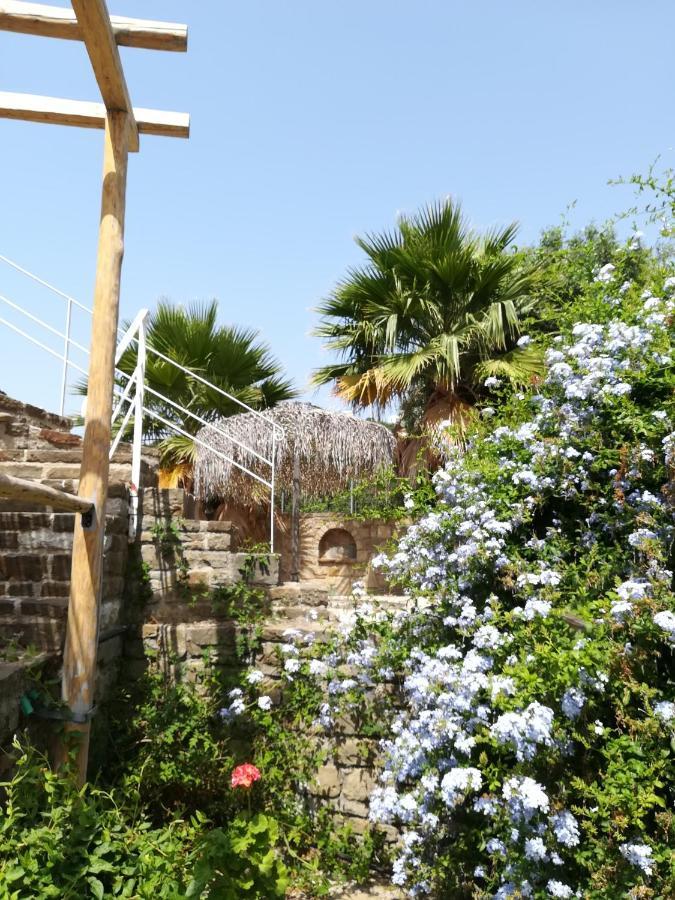Lemon Tree Cottage Finikounta Bagian luar foto