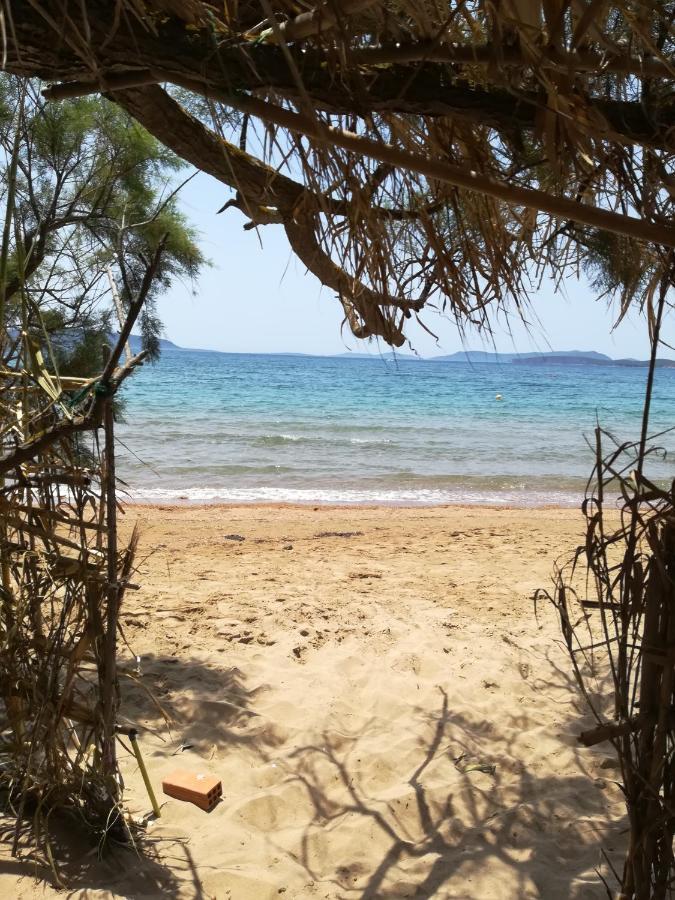 Lemon Tree Cottage Finikounta Bagian luar foto
