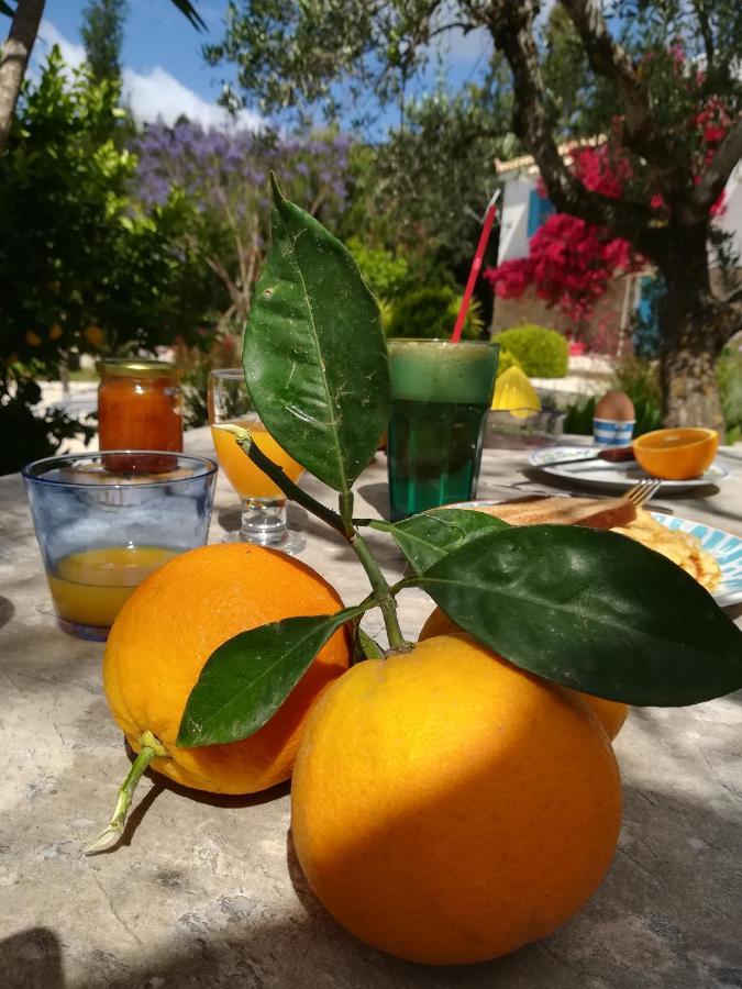 Lemon Tree Cottage Finikounta Bagian luar foto