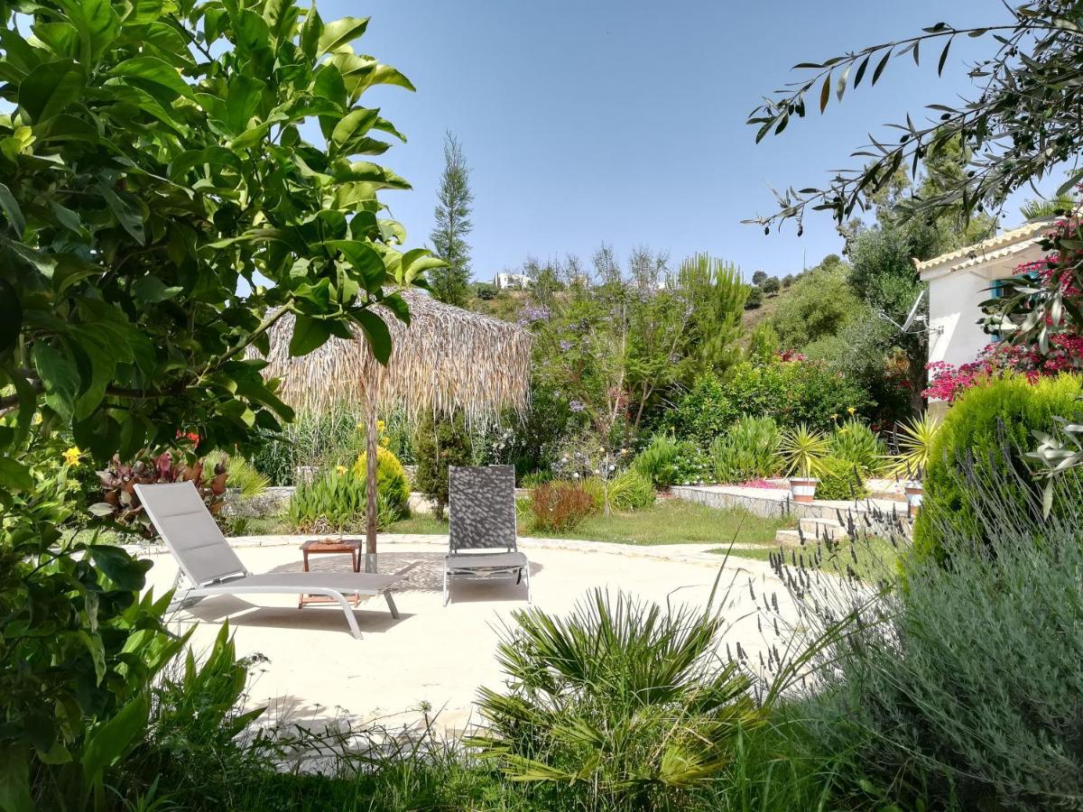 Lemon Tree Cottage Finikounta Bagian luar foto