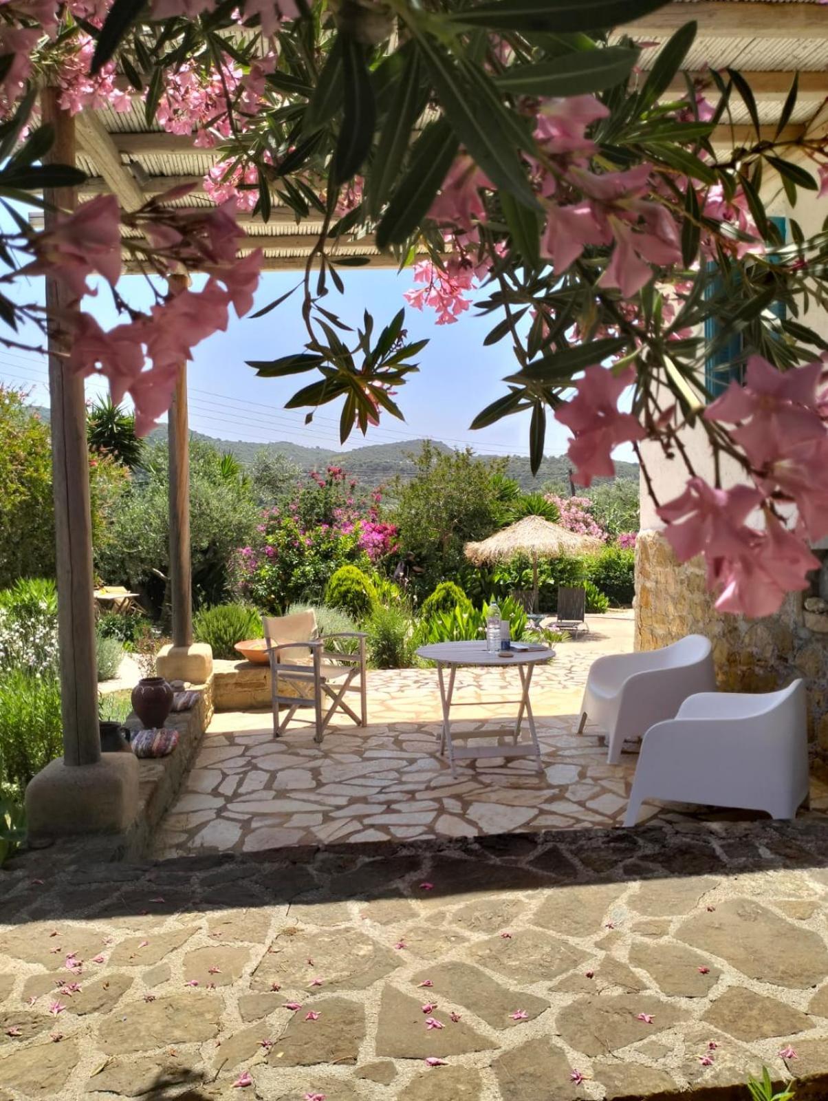Lemon Tree Cottage Finikounta Bagian luar foto