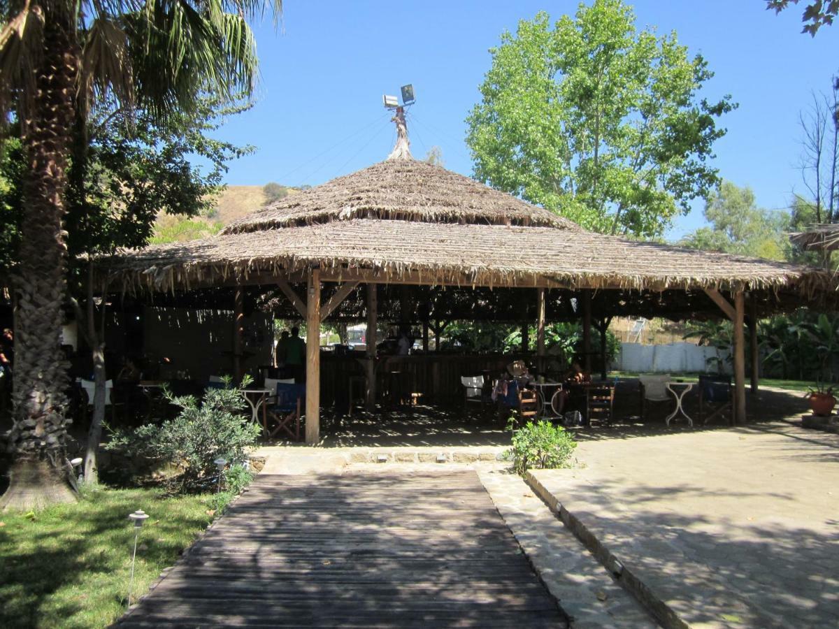 Lemon Tree Cottage Finikounta Bagian luar foto