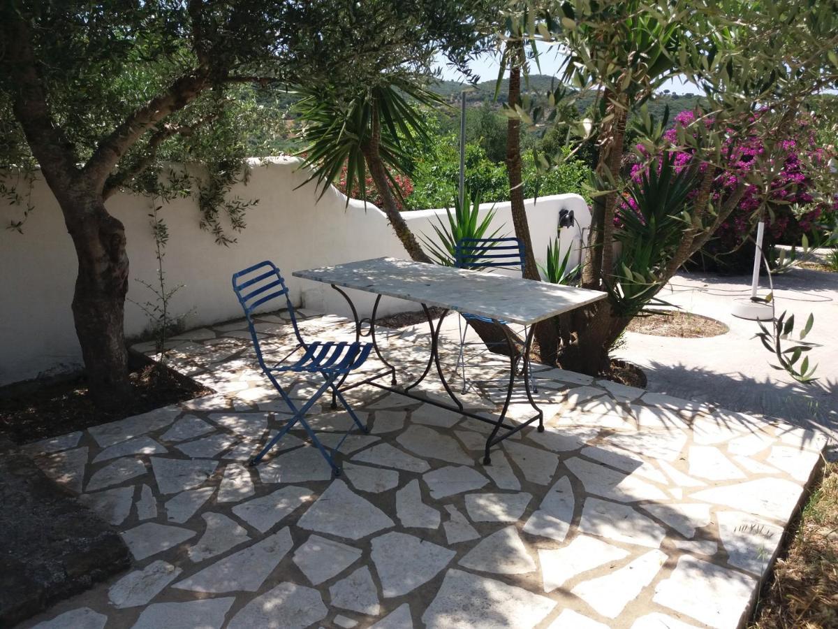 Lemon Tree Cottage Finikounta Bagian luar foto